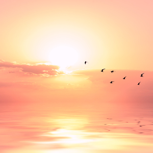 日本XXXX69HD老师学生
