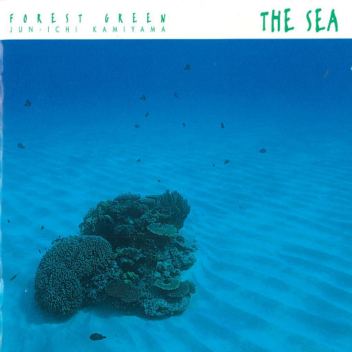 日本XXXX69HD老师学生
